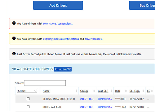 screenshot of Driver Record Dashboard